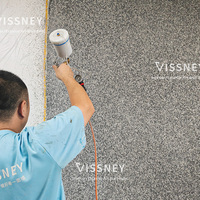 Peinture décorative pour mur extérieur avec forte résistance aux fissures, texture d'adhérence, peinture en aérosol