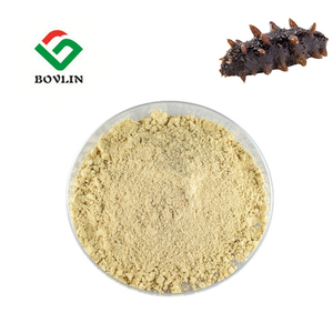 Extracto de <span class=keywords><strong>Pepino</strong></span> de Mar en Polvo, Mejor Precio, Polvo de <span class=keywords><strong>Pepino</strong></span> de Mar Seco 10:1 20:1 - Product Image 2