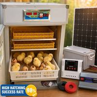 Incubateur automatique solaire personnalisé pour 176 œufs, fabriqué sur mesure