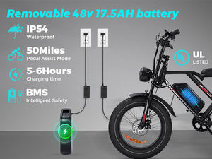 Vélo électrique 48V-17. 5/25 AH avec logo personnalisé VTT électrique pour hommes Stock en entrepôt meilleur prix - Product Image 6