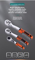 Kit d'outils de réparation automobile professionnel, 216 pièces, OEM, jeu de clés à douilles manuelles en acier au chrome-vanadium, étui rigide pour mécaniciens