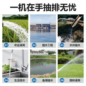 WQ Submersible Sewage Pump 1 Hp 1-1/2 In Flange Connection Single Phase Motor Axial Flow For Household Septic Tank - Product Image 3