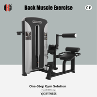 Machine d'extension dorsale avec rouleau lombaire, support abdominal, base assise, tour de poids et cadre renforcé pour salle de sport commerciale