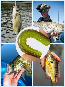 <span class=keywords><strong>332</strong></span> pièces en silicone artificiel appât souple leurre accessoires de pêche ensemble pour les poissons d'eau douce rivière et lac utilisation - Product Image 5