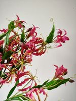 M898 Hochzeitsvase Hotel Blumenarrangement Lebensechte Hochwertige Luxuriöse Realistische Seiden-Kunstblumen Gloriosa Flaming Lily