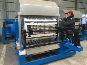Machine à fabriquer des plateaux à fruits motorisée haute capacité, en promotion, avec une production de 1000 à 5000 kg/h et une puissance de 33,5 à 116 kW - Product Image 2