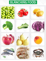 Professionele Aardappel Blancheren Machine Voedsel Steriliseren Stomer Blancheren En Koken Machine Voor Voedselverwerkende Fabriek