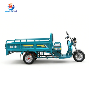 Tricicli Elettrici a Tre Ruote di Grande Capacità e Praticità per il Trasporto di Merci nel Mercato - Product Image 4