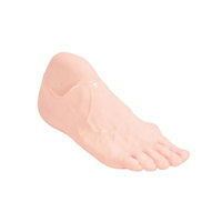 Modèle de démonstration des soins des pieds diabétiques DARHMMY - Simulateur avancé pour l'enseignement médical et la formation clinique