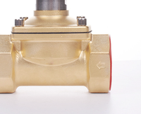 Vanne de gaz en laiton série cuivre 2w de haute qualité électrovanne NC/NO