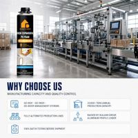 Mousse polyuréthane expansive PU de qualité professionnelle, durée de vie de 10 ans, durcissement rapide pour le remplissage des espaces entre fenêtres et portes
