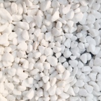 Décoration Naturelle : Galets Blancs pour Jardin, Petites Pierres Blanches pour Aquarium, Galets Décoratifs