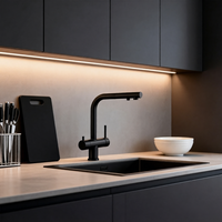 Keran Dapur Stainless Steel 304 Bebas Timbal Warna Hitam Doff dengan Filter Air Panas Dingin dan Selang Tarik