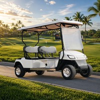 Voiturette de golf électrique 4 places avec moteur asynchrone AC, frein à tambour hydraulique double circuit, capacité de montée de 25 %, sans entretien, Colloidal Golf