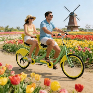 Vélo familial écologique, vélo <span class=keywords><strong>cargo</strong></span> <span class=keywords><strong>tandem</strong></span>, 2 personnes, antirouille, capacité de charge stable, pour les promenades en parc - Product Image 4