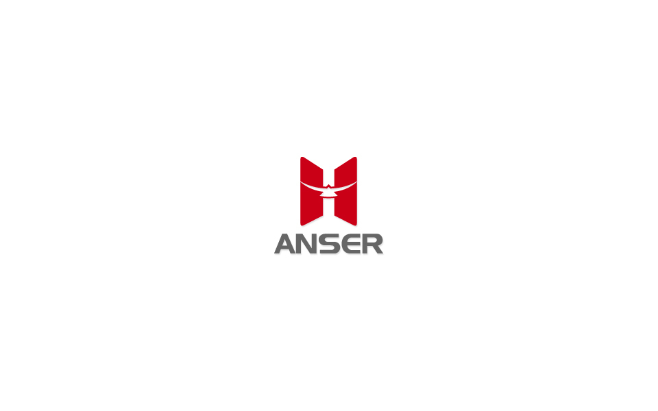 Anser (Changsha) Electromechanical Technology Co., Ltd. logo