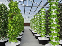 Tour hydroponique verticale multicouche Seedafarm Space Tree, système de culture de légumes intelligent pour intérieur avec pompe