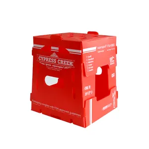 11lbs 5千克塑料correx芦笋包装盒