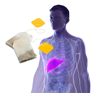 Té Adelgazante Orgánico Unisex OEM, Extracto de Té Verde, Detox, Quemador de Grasa Abdominal, 14 Bolsitas de Té para Adultos - Product Image 6