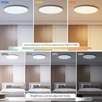 Plafonnier LED intelligent Zemismart Zigbee RGBCW, lampe de surface ultra-mince à intensité variable, Tuya Smart Life Alexa Google Home Home Assistant