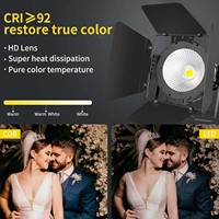 Projecteur de scène LED COB Slim 100W à diffusion directe avec déflecteur, intensité variable, blanc froid et blanc chaud, activé par le son