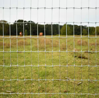 Clôture de champ pour chevaux en acier galvanisé - Écologique, anti-rongeurs, hauteur personnalisable, clôture extérieure pour ferme, jardin, balcons 3D
