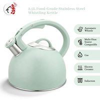 Bouilloire sifflante automatique en acier inoxydable de 2,5 L, de qualité alimentaire, non toxique, compatible induction, gaz et électrique, en céramique