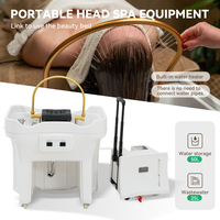 Évier à Shampoing Mobile Portable Moderne pour Salon de Coiffure, Bassin de Soin pour Tête en Plastique avec Réservoir de Stockage d'Eau