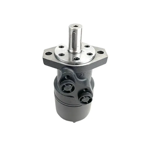 Motor Hidráulico OMS 350200AGI21AAAA, Bomba de Motor Hidráulico de Puerto Final - Product Image 2