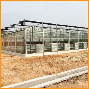 <span class=keywords><strong>Grande</strong></span> serre agricole multi-chapelles en acier galvanisé avec couverture en verre pour la culture de légumes - Product Image 4
