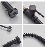 FSH OEM vente en gros 4 couleurs 360 rotatif mélangeur d'eau chaude froide robinets de pulvérisation à tirette mitigeur ressort robinet d'évier de cuisine