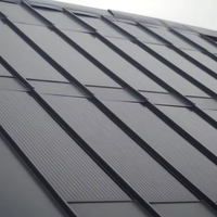 Tuile solaire BIPV autonome à haute efficacité avec cellule photovoltaïque pour l'alimentation électrique domestique et les projets de construction