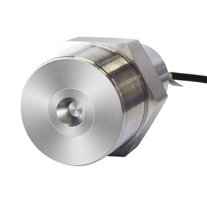 QYB100Rステンレス鋼ハンマーユニオン圧力センサーPT601 15k PSIハンマーユニオン圧力トランスミッタ - Product Image 3
