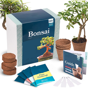 Cadeaux <span class=keywords><strong>de</strong></span> noël pour l'extérieur et l'<span class=keywords><strong>intérieur</strong></span>, 4 Types <span class=keywords><strong>de</strong></span> pousses <span class=keywords><strong>de</strong></span> germination, Kit <span class=keywords><strong>de</strong></span> jardin <span class=keywords><strong>de</strong></span> bonsaï naturel avec outils - Product Image 1