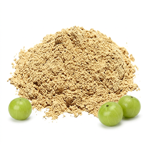 Fournisseur en gros de poudre de fruit d'Amla en provenance d'Inde - Product Image 1