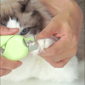Cross-border pet cat nail clippers, <b>dog</b> grooming supplies, nail <b>scissors</b> with stainless steel tips - Product Image 2