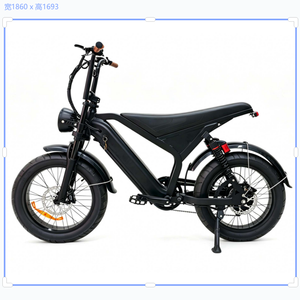 โรงงานเวียดนามจัดหาจักรยานไฟฟ้าล้อโต 20 นิ้ว มอเตอร์ 500W แบตเตอรี่ถอดได้ 48V18Ah รุ่น GT20 จักรยานเสือภูเขาไฟฟ้าสไตล์เรโทร - Product Image 2