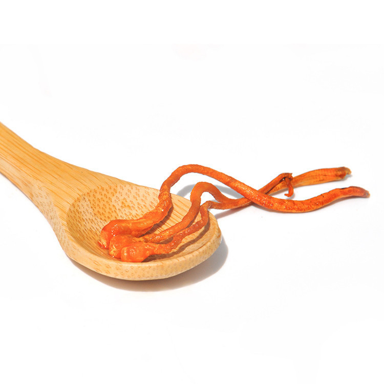 Safe High Quality Natural Edible Mushroom Food Dried Cordyceps Militaris