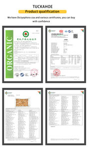 Kualitas tinggi obat <span class=keywords><strong>Herbal</strong></span> kering tradisional Cina Poria Cocos - Product Image 6