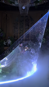 مجموعة كاملة لحفلات الزفاف: ضوء ليزر RGB بقوة 10 واط ومعدات مسرحية، آلة ضباب بانبعاث أبيض وأخضر، آلة ثلج، وآلة ألعاب نارية مع تحكم عبر التطبيق - Product Image 3