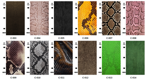 Máquina de corte de películas de hidrogel, materia prima, piel trasera de teléfono, pvc para Pegatinas, película trasera móvil - Product Image 2