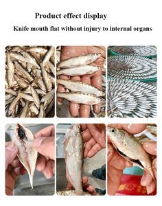 Fully Automatic Small Tilapia Fillet <b>Fish</b> Descale Cut Gut Kill Scaling Scaler Clean <b>Machine</b> and Price - Product Image 6