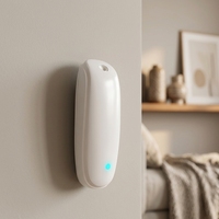 Diffuseur de parfum intelligent à ultrasons mural mini, machine à parfum de luxe pour la maison, service de logo personnalisé en gros, décoration intérieure, cadeau