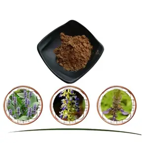 毛叶草提取物粉末10%-98% 毛叶草黄酮毛叶草。提取物