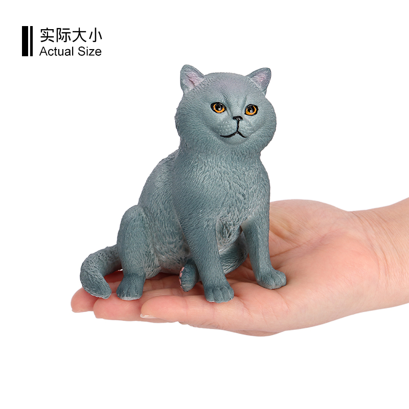 3633 Gatto Chartreux