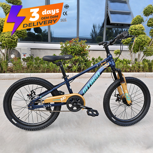 Vélo de montagne pour garçons MTBGO traditionnel, 3-15 ans, <span class=keywords><strong>20</strong></span> <span class=keywords><strong>pouces</strong></span>, acier, simple vitesse, avec amortisseur avant et panier en plastique - Product Image 6