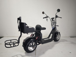 Scooter électrique de <span class=keywords><strong>golf</strong></span> intelligent Loyal Citycoco 2 places, pliable, étanche, 2000W/3000W - Product Image 1