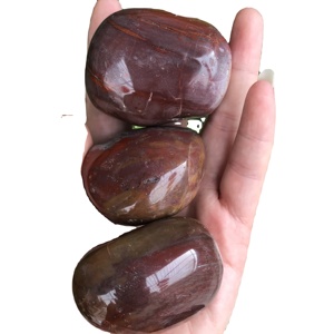 Wholesale Natural Red Wood <strong>Jade</strong> fossil Raw <strong>Stone</strong> Healing Petrified Wood Palm <strong>Stone</strong> Calm <strong>Stone</strong> - Product Image 2