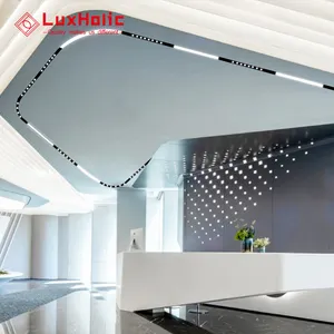 LuxHolic Thiết Kế Mới 3000K 24-48V 20W 45W Cob Điều Chỉnh Góc Chùm Cửa Hàng Đèn Led Lõm Đường Cong Đèn Theo Dõi Từ Tính