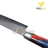 Couteau de Chef Professionnel KEENHOPE Gyuto 8 Pouces en Acier Damas 67 Couches VG10 – Couteau de Cuisine Personnalisable